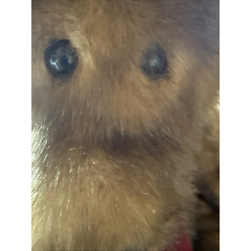 Dan Dee Collectors Choice 100th Anniversary Special Ed 2002 Teddy Bear Plush 30" - Picture 9 of 14